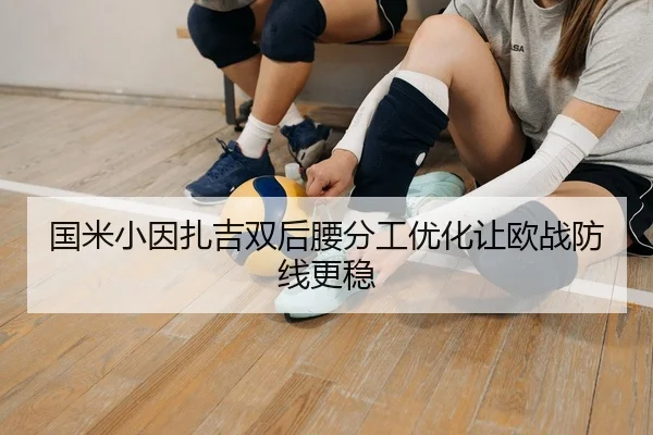 国米小因扎吉双后腰分工优化让欧战防线更稳